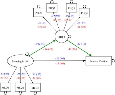 Psychometric properties of the Patient Health Questionnaire-4 among Hong Kong young adults in 2021: Associations with meaning in life and suicidal ideation